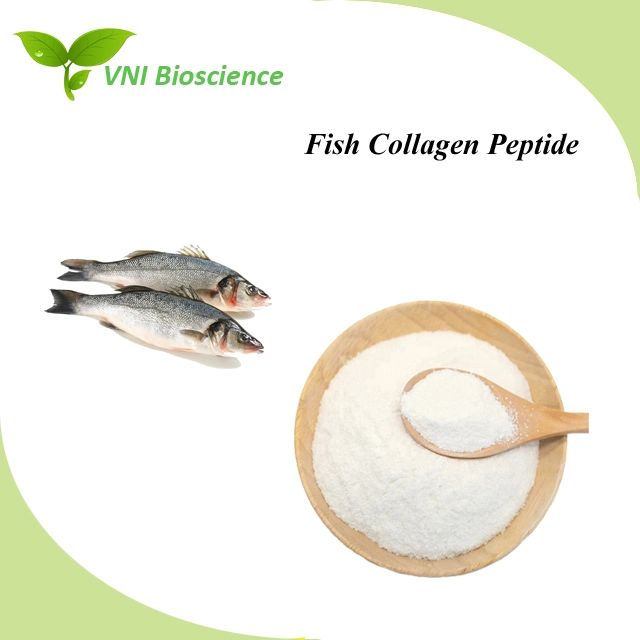 Kosher & Halal Certified Food Grade Fish Collagen