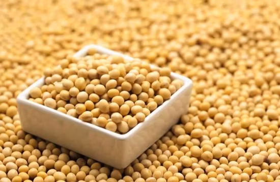 Порошок соевого пептида коллагена, малая молекула, гидролизованный растительный белок